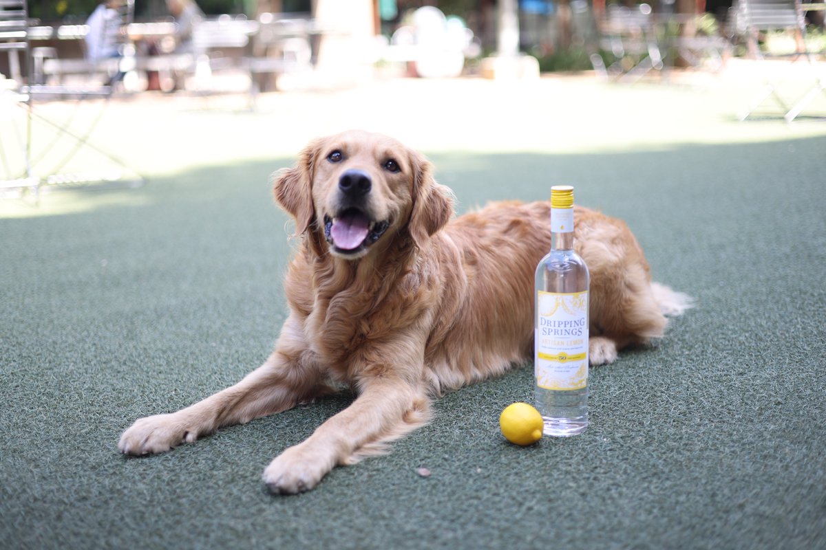 Dripping Springs Distilling tweet media