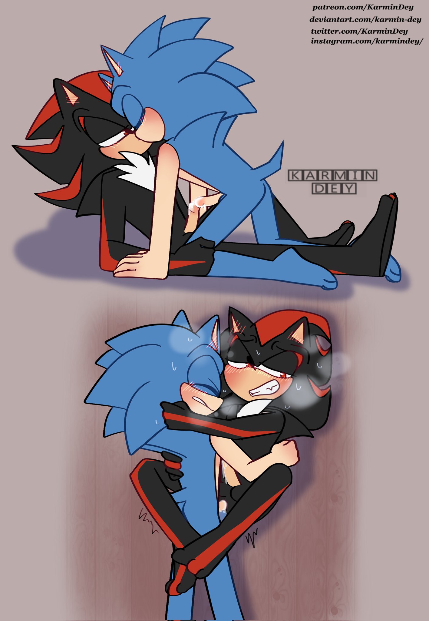 Sonadow Sonic X Shadow GIF - Sonadow Sonic X Shadow Sonic X Shadow