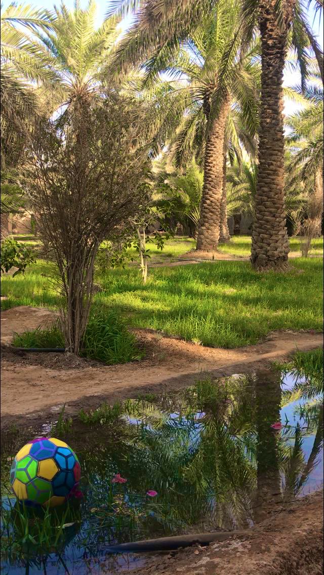 greatfarm15's tweet photo. #الهلال_الفيصلي
🌴 https://t.co/DSGjvjBdPa