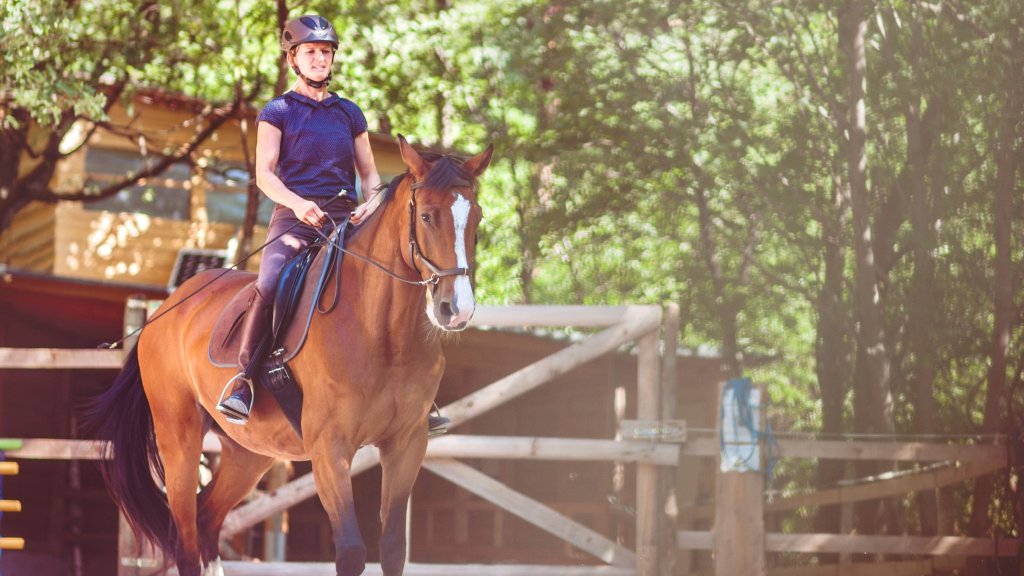 joyequestrian's tweet photo. Check out the blog post: 
5 Foolproof Equine Training Tips For New Horse Owners

https://t.co/cDWSkqrmBG

#horsetraining #newhorseowner #horsetrainingtips #tipsforhorseowner https://t.co/tXJerN1Okp