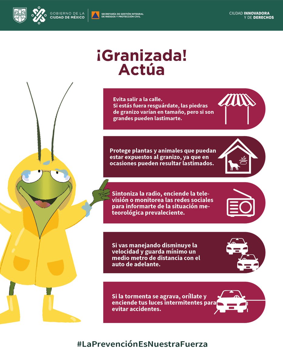 SGIRPC_CDMX's tweet photo. Sigue nuestras recomendaciones ante la caída de #granizo:

💧Resguárdate y evita salir a la calle
💧Protege a plantas y animales
💧Mantente informado en fuentes oficiales
💧Si vas manejando, disminuye la velocidad y guarda tu distancia

#LaPrevenciónEsNuestraFuerza https://t.co/OoBhQi5vLR