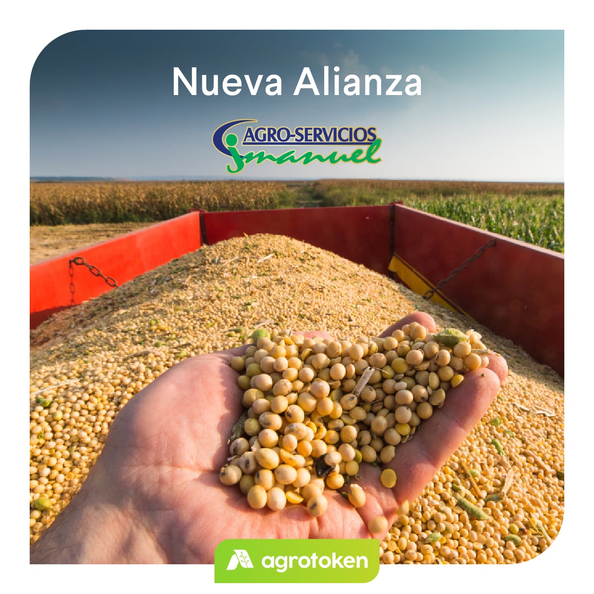 ¡Accedé a todo lo que tiene para vos <a href="/AgroservJManuel/">Agroservicios JManuel</a> con tus agrotokens!

Una nueva alianza que significa más posibilidades de comprar semillas e insumos con tus granos digitalizados. Sumate a nuestro ecosistema ahora mismo, ingresá a agrotoken.io!