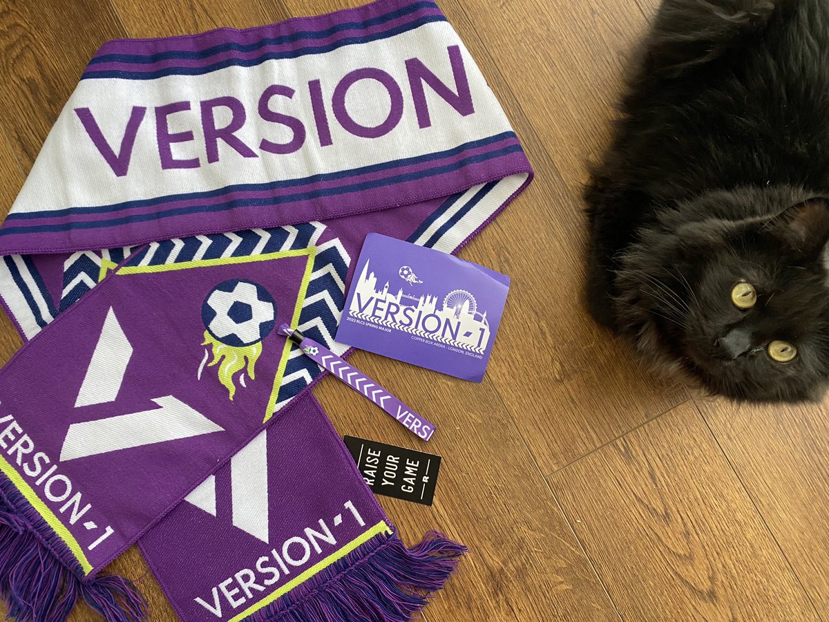 catjeans's tweet photo. THANK YOU @version1gg for the beautiful care package!! here’s to the (2nd) coolest team at the major 😉♥️ https://t.co/F4ILzlOcT4
