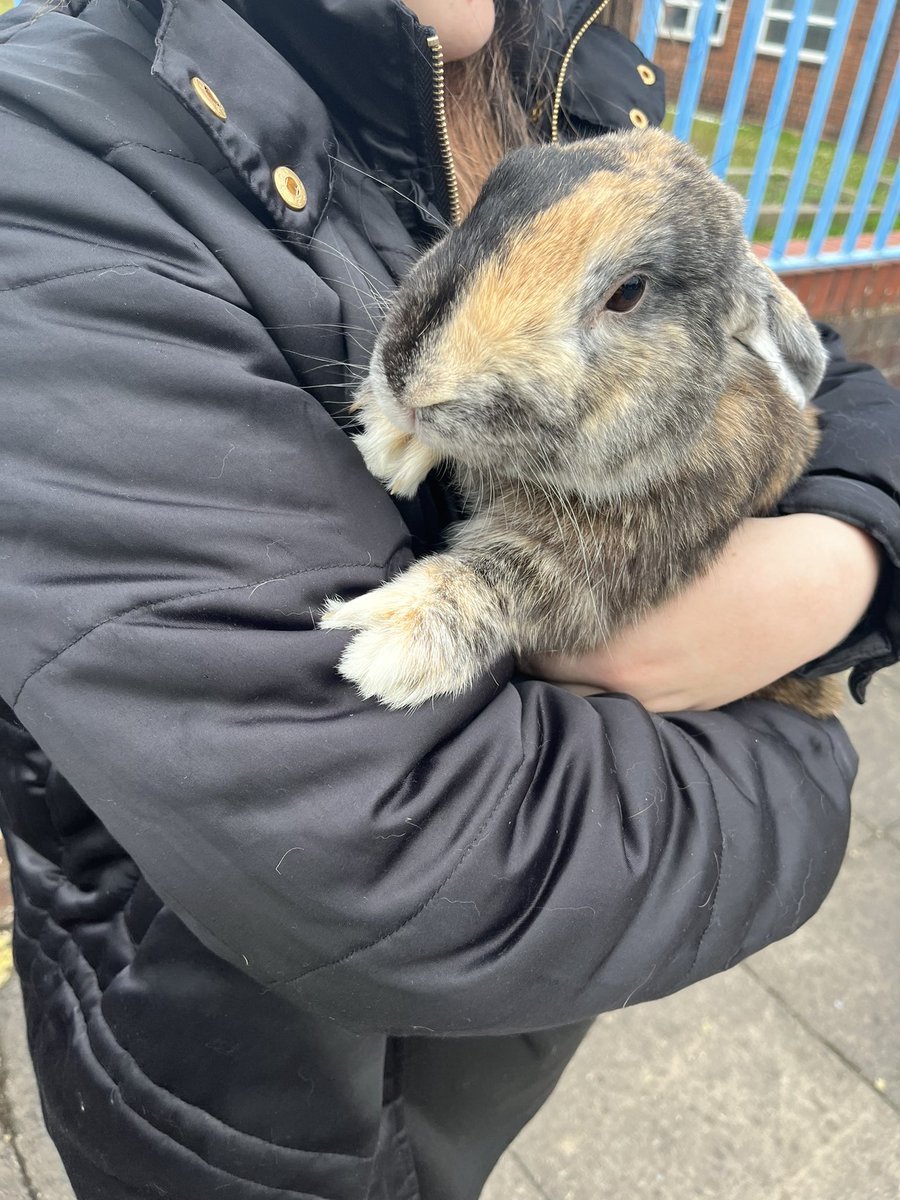 Some good news from Dulwich Road. Two girls, whose house has been severely damaged in the explosion, have been reunited with their bunny this afternoon, after it was found in the house by firemen. Both girls and Nature the Bunny are feeling better after a snuggle. #kingstanding