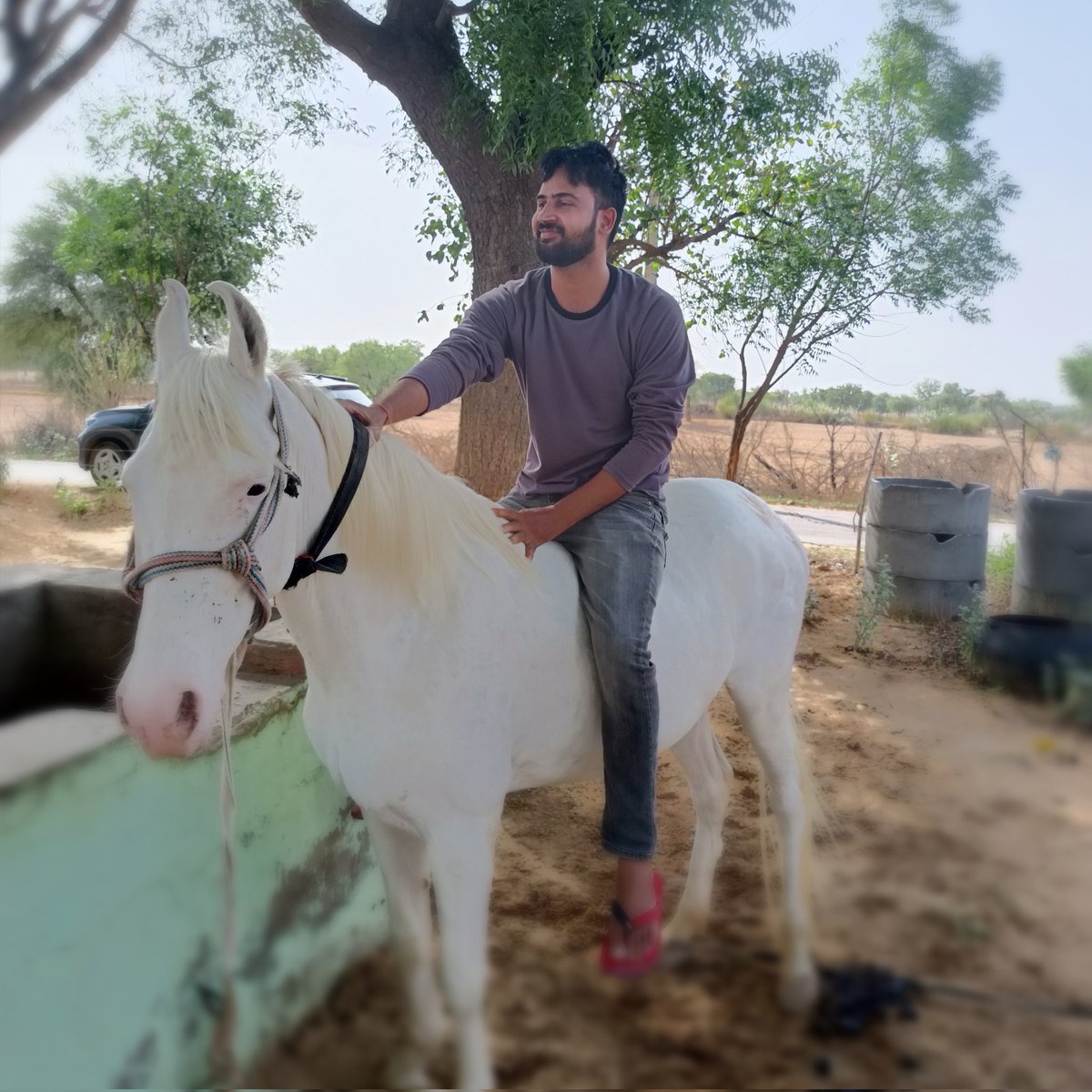 Paradigmmshift's tweet image. #NewProfilePic