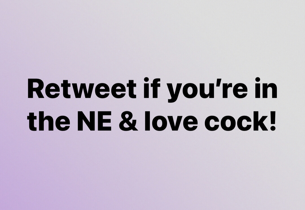 StableMaster tweet media