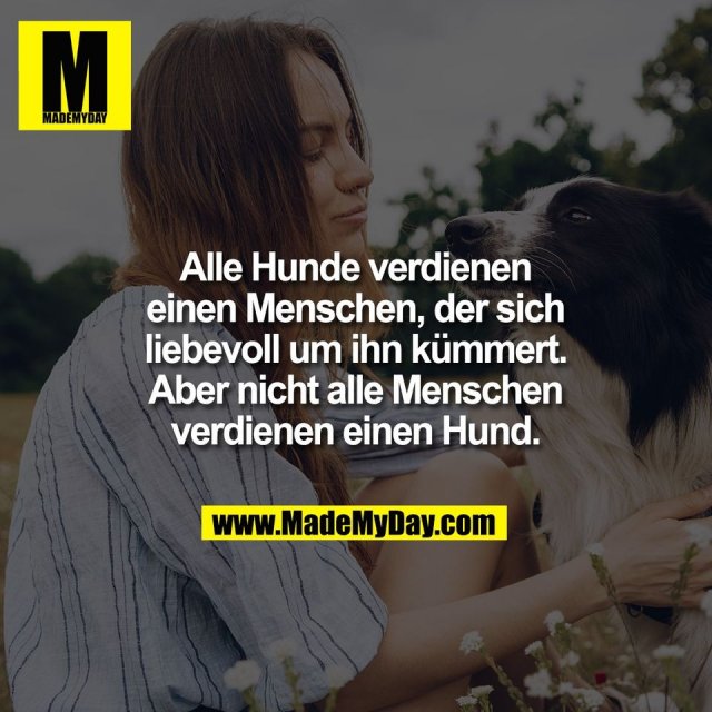 MadeMyDaycom's tweet photo. https://t.co/Seq46h7w99