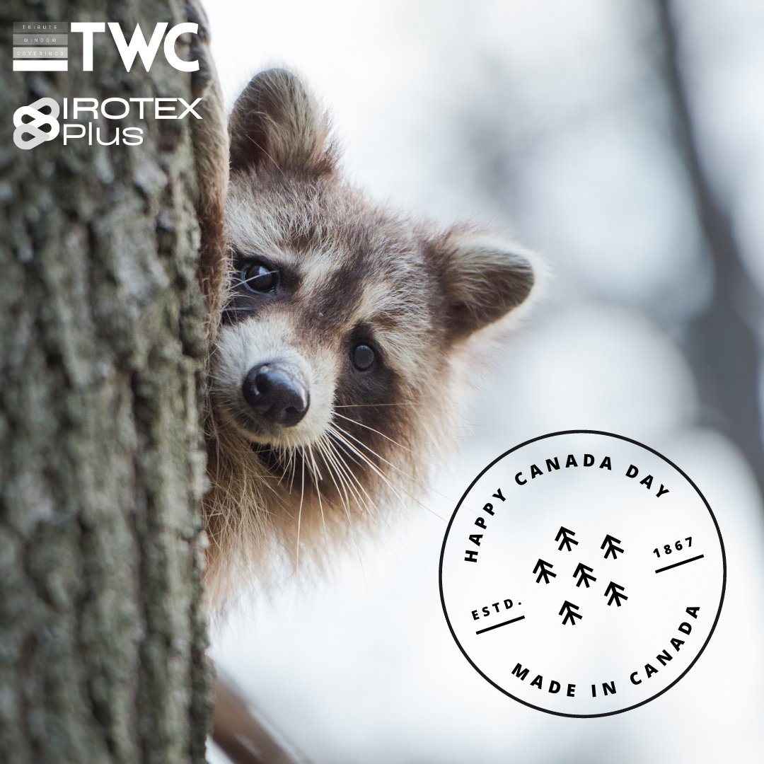 WindowTribute's tweet image. Our administrative offices and warehouse facilities in Toronto and Montreal will be closed on Friday, July 1st in observance of the Canada Day Holiday.
We will reopen on Monday, July 4th.

Best wishes for a happy and safe holiday!
#canadaday #happycanadaday #explorecanada