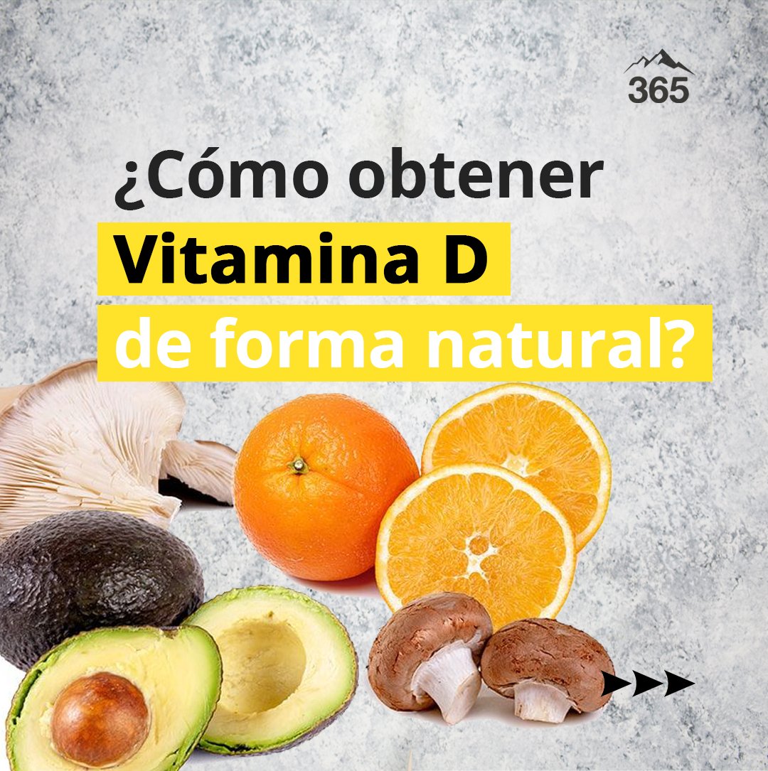 365sustentable's tweet photo. La deficiencia de vitamina D puede resultar del consumo de una dieta no equilibrada, aunada a una inadecuada exposición solar. https://t.co/98Jb9wpABy