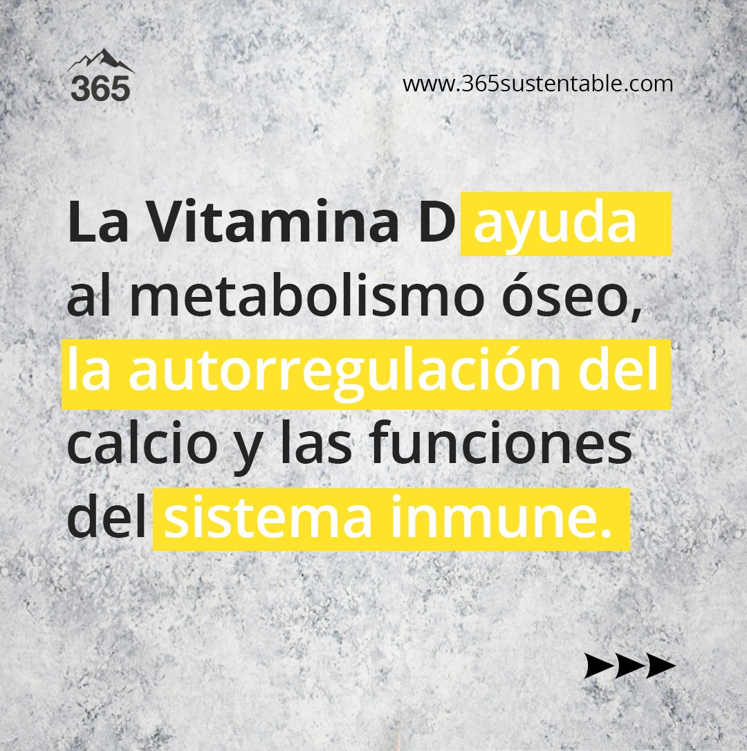 365sustentable's tweet photo. También puede ocurrir por desórdenes que limiten su absorción o condiciones que limiten la conversión de vitamina D en metabolitos activos, tales como alteraciones en hígado o riñón, o raramente por algunos desórdenes hereditarios. https://t.co/AA7eL46NA0