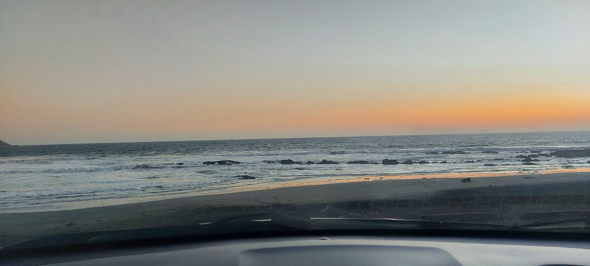 Luis Cerda tweet media