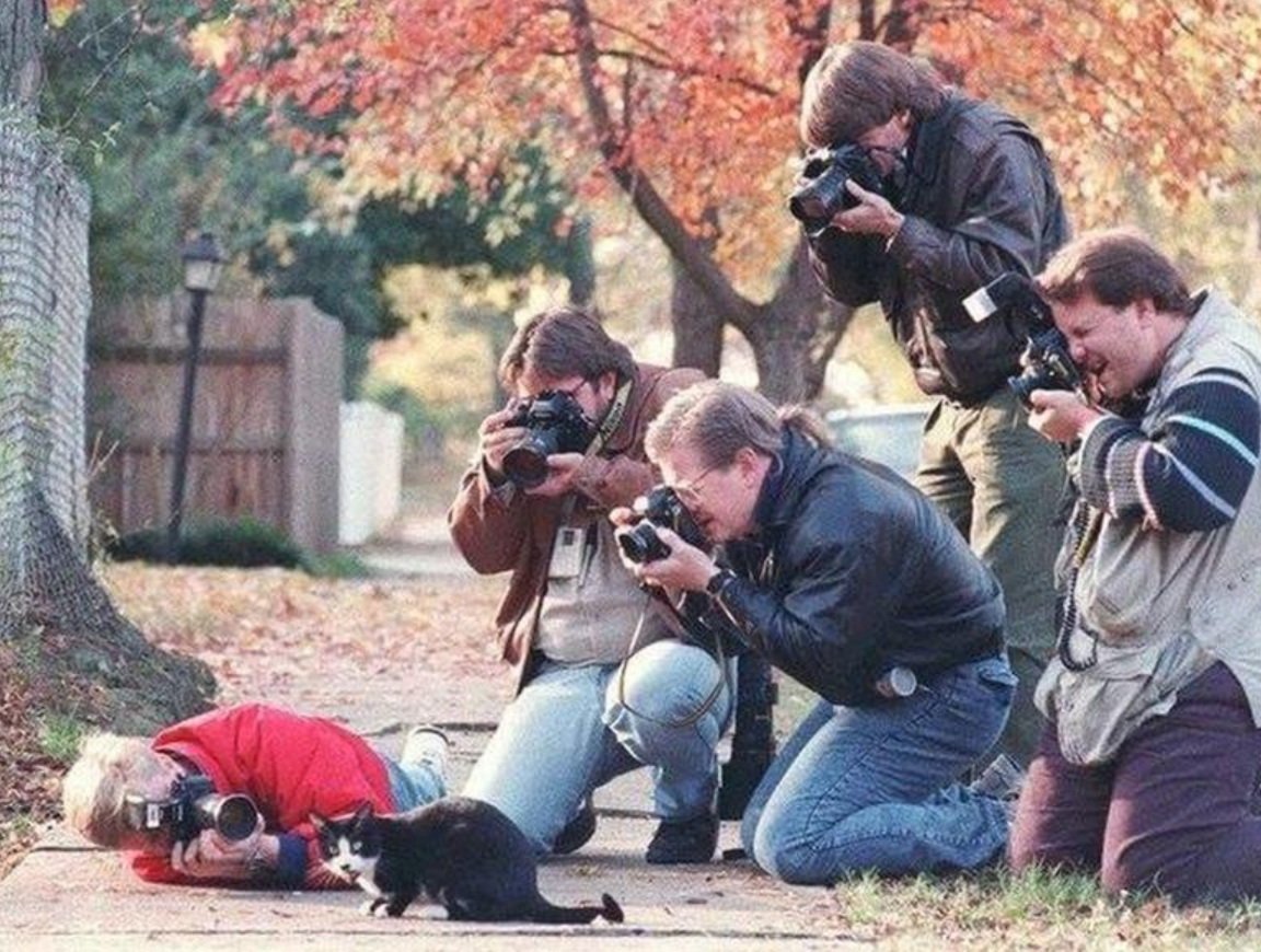 thewallyshow's tweet photo. bill cllinton's cat and the sycophantic  press, 1996 https://t.co/5TMcWWVJUi