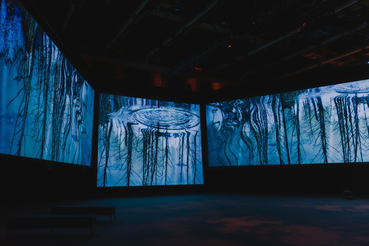 Luminato Festival tweet media