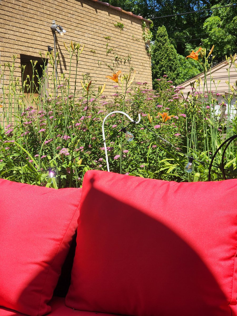 drcassb's tweet photo. Sitting outside is my favorite. And my lilies are starting to bloom! #MKESummer https://t.co/uBhEoDAHcD