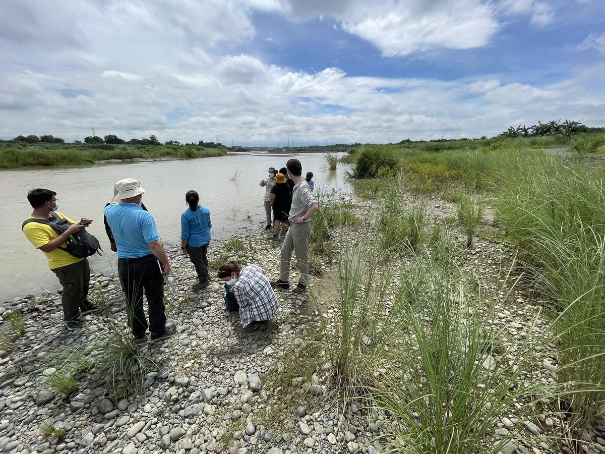 Tom Coulthard tweet media