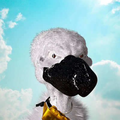 SpartanA117's tweet photo. #NewProfilePic #SolanaNFTs #SolanaSummer #SolanaCommunity #squaaa @Vulturesnft Killing the game! https://t.co/zLRCi1ZGbb