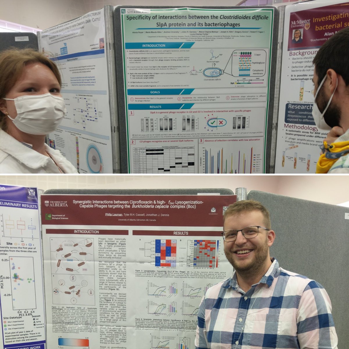 ISVM (@virusofmicrobes) on Twitter photo Time for the junior #phage scientists to jump into action <a href="/csm_scm2022/">CSM_SCM2022</a> . #microbes #virus #research <a href="/PhageCanada/">Phage Canada</a> is alive and kicking! Time for the junior #phage scientists to jump into action <a href="/csm_scm2022/">CSM_SCM2022</a> . #microbes #virus #research <a href="/PhageCanada/">Phage Canada</a> is alive and kicking!