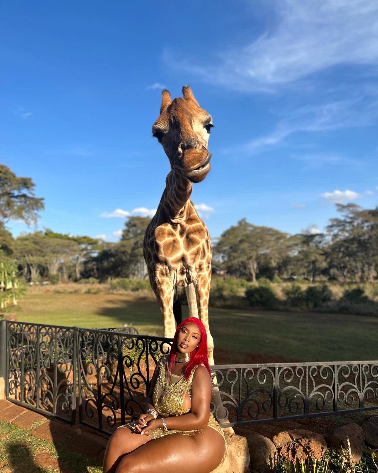 Born Winner on Twitter: “Bday princess of everywhere https://t.co