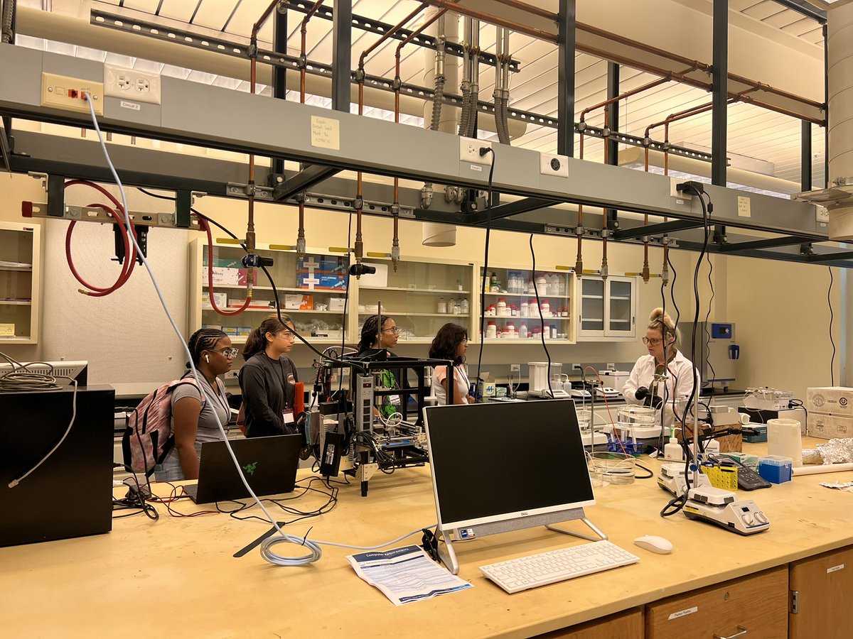 Shohreh Hemmati tweet media