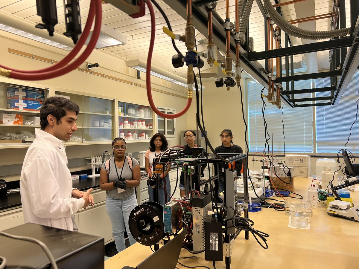 Shohreh Hemmati tweet media