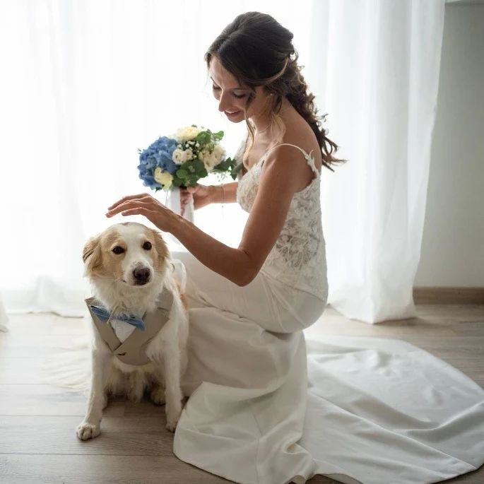 bowpawtie's tweet photo. He just looked at me. That look told me everything there was to say.
#handmadeinitaly #wedding #weddingideas 
#weddingday #instawedding #weddingstyle #weddingaccessories #weddingdogs #ringholder #dogringbearer #dogsoftwitter #dogofhonor #dogapparel #dogwedding #petsinweddings https://t.co/2vXlH6nn31