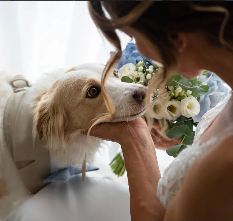bowpawtie's tweet photo. Si limitò a guardarmi. Quello sguardo mi disse tutto quello che c’era da dire.
#fattoamano #bowpawtie  #fashion #amicianimali #canefashion #matrimonio #matrimonioperfetto #listanozze #sposa  #nozze #emozioni #cane
#weddingplanning #weddingprofessional #canealmatrimonio #sposi https://t.co/OCbWrKNSf1