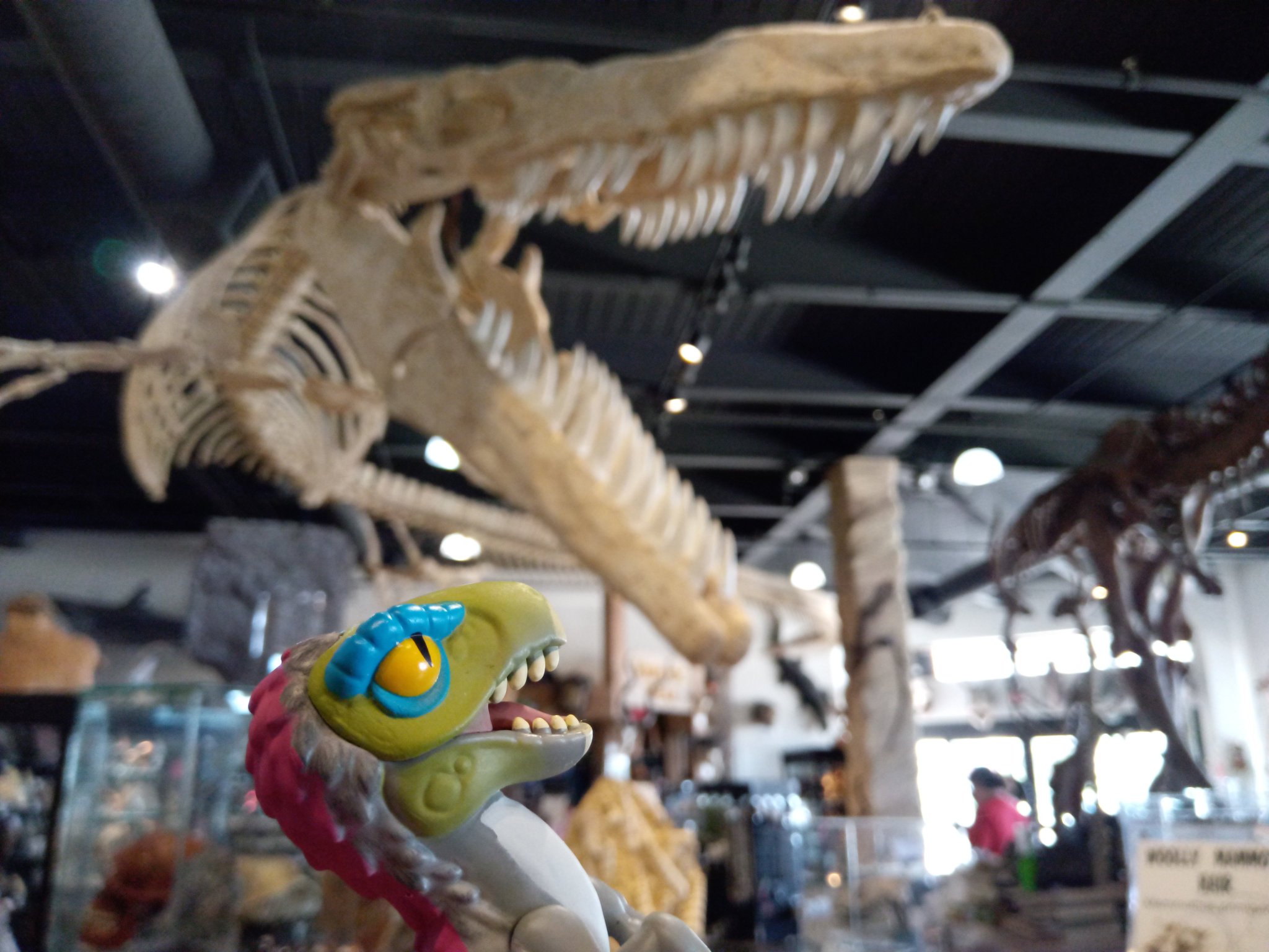 the dinosaur store