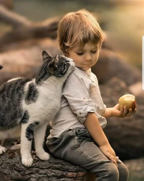 merisancak2's tweet photo. Uğur böceğinin uğuruna inanan.
Kedi yavrularına merhametle bakan.
Gelincikten şurup, papatyadan taç yapan.
Ne masum çocuklardık.
Kimseyi kırmadık,incitmedik.
Sevgiden,saygıdan yana kusur etmedik.
Hani o ağzı var dili yok dedikleri,
çocuklar var ya işte o bizlerdik!..
Gülten ALP https://t.co/kzHPNlMDoM