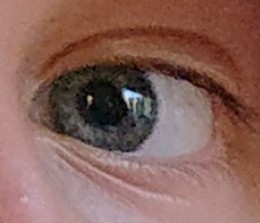 monnolena's tweet photo. 220627 En liten SPEGLING. #sommarpåminplanet https://t.co/b6l57vvcLB