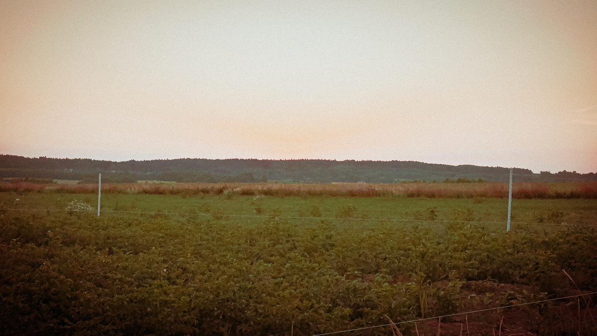 maciekdabkowicz's tweet photo. late night film photoshoots 🌱🎞 https://t.co/75R4kx6p29