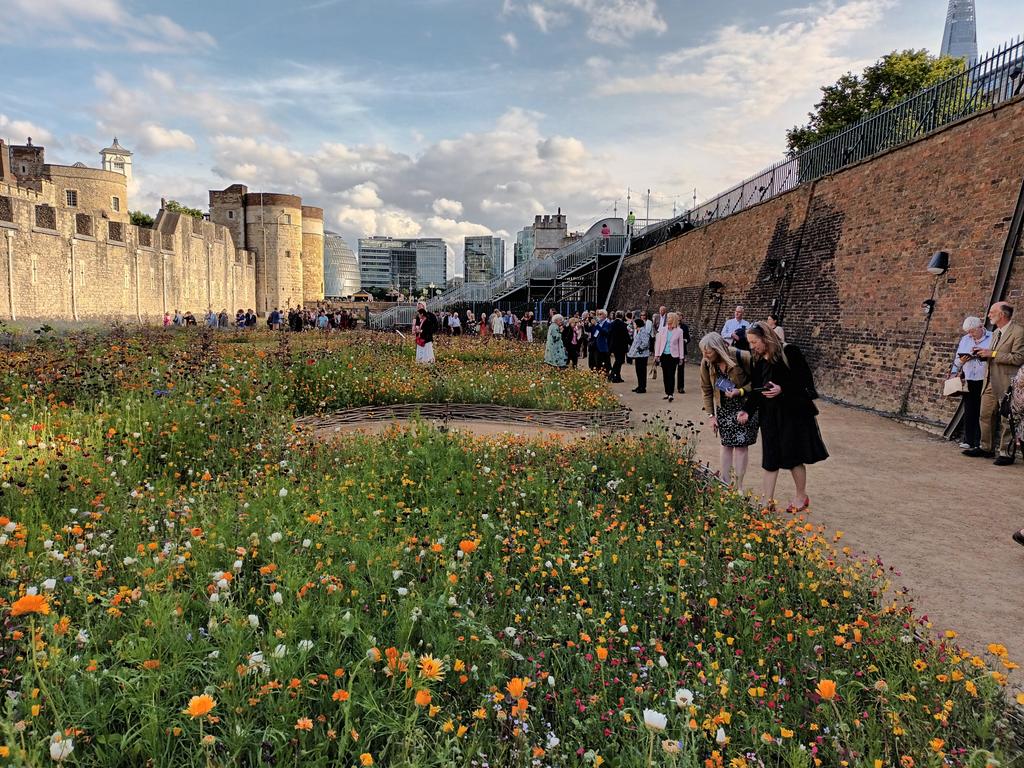 RobCaseyWCT's tweet photo. A lovely evening attending a private viewing of Superbloom at the Tower of London followed by an engaging talk by John Burton, chair of Pollinating London Together on their important work to support pollination and biodiversity in London https://t.co/bkQaQsJ0V5