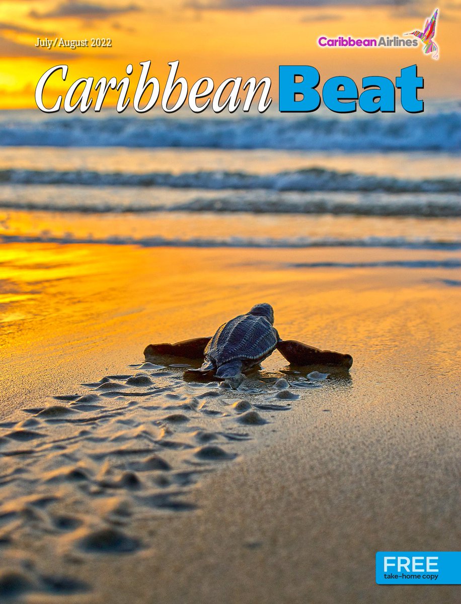 meppublishers's tweet photo. The latest issue of Caribbean Beat magazine (#171) is all new for July/August 2022! 😎 

Read individual features or the full flip-book for free at: https://t.co/iL9PYH4LCt) 

Cover 📸
A critically endangered leatherback turtle hatchling 
© Giancarlo Lalsingh

#CaribbeanBeat https://t.co/NXicPX8Mug