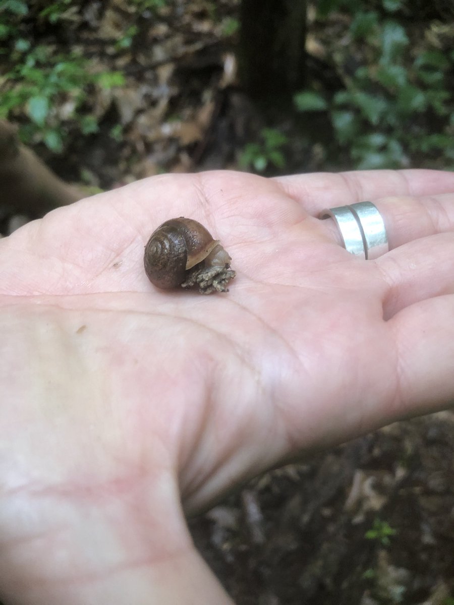 CCPSESOLTeam tweet media