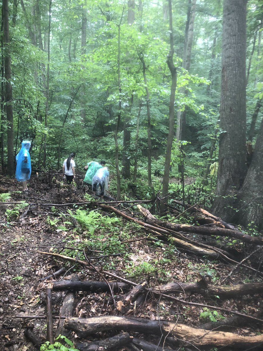 CCPSESOLTeam tweet media