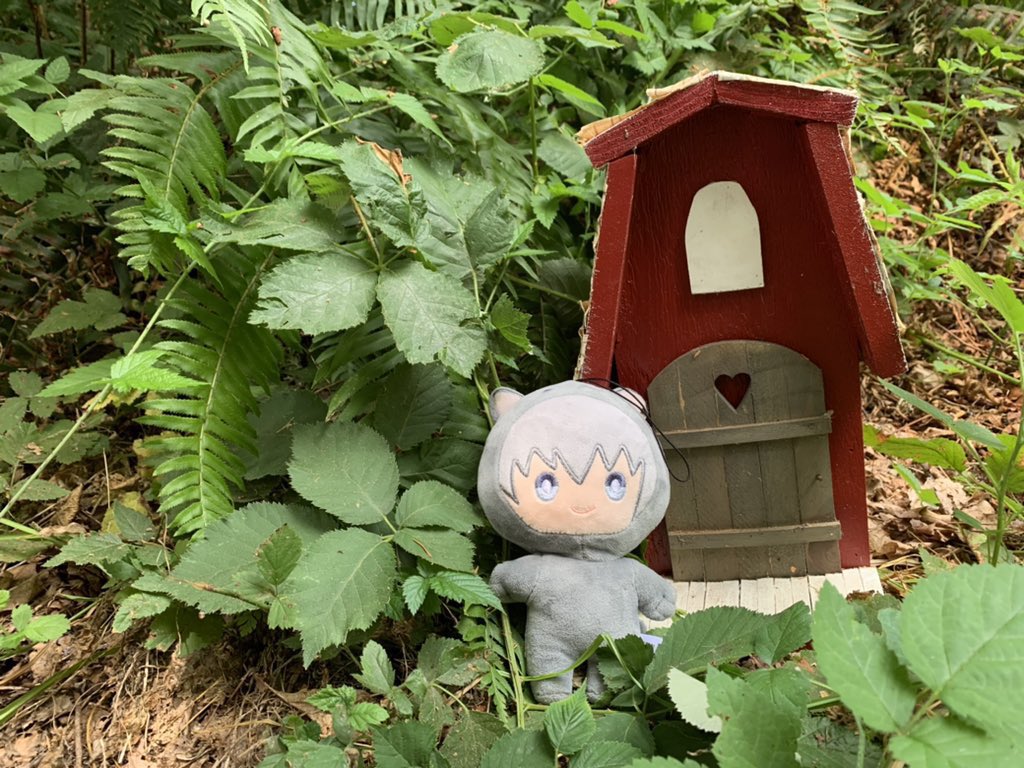 Ayames_babe's tweet photo. Yuki goes everywhere with me https://t.co/u678kN2OST
