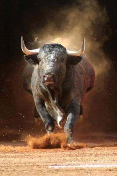 otissosp's tweet photo. Liberenlos yaaaaaa , no más abuso contra ellos https://t.co/nV6eZxV3uM