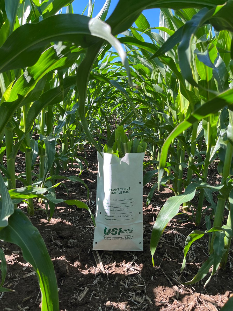 DealAgSolutions's tweet photo. Know before you apply! 

Don’t guess at what you should be putting in your Y-drop or Foliar applications. Feed your corn &amp; soybeans what they need.  

Call us for Tissue Testing, you might be surprised what you learn! https://t.co/gxhNyTdvLW
