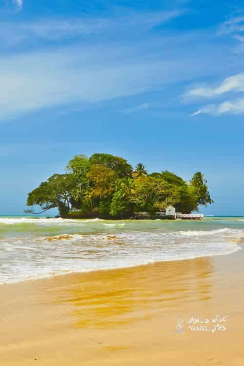 Worldwidettips's tweet photo. Weligama is not just a great spot to learn to ride your first wave on one of the many Sri Lanka beaches for surf, but it is also a beautiful town full of life with many coconut and rubber plantations around.
Read more π https://t.co/zCj4Eal6c5
#SriLanka #LearnSurfing https://t.co/zLxniC7Qj3