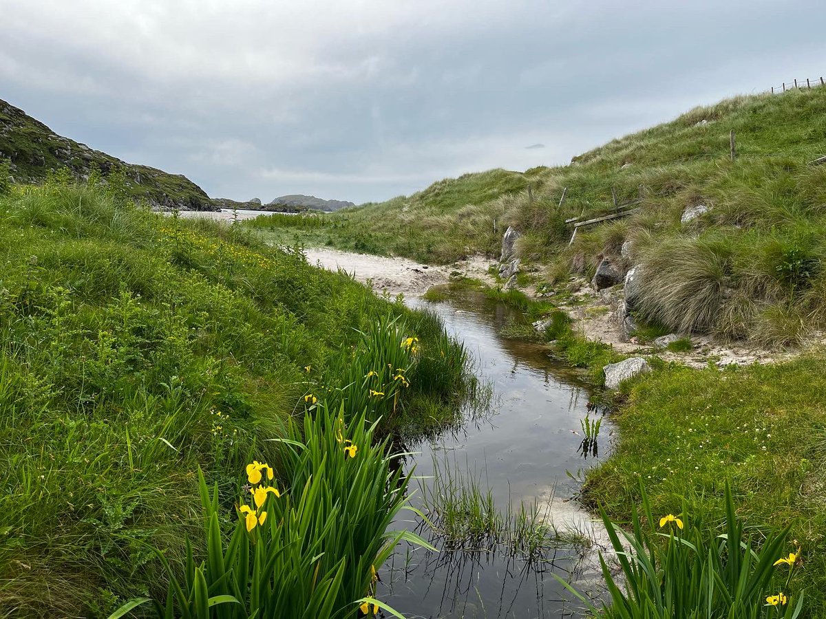 WebIndy's tweet photo. Bosta beach, #IsleofLewis #outerhebrides #Scotland #VisitScotland https://t.co/bXRKeDz0mJ