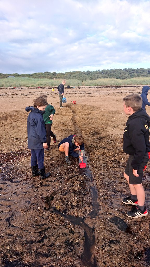 Longniddry Scouts tweet media