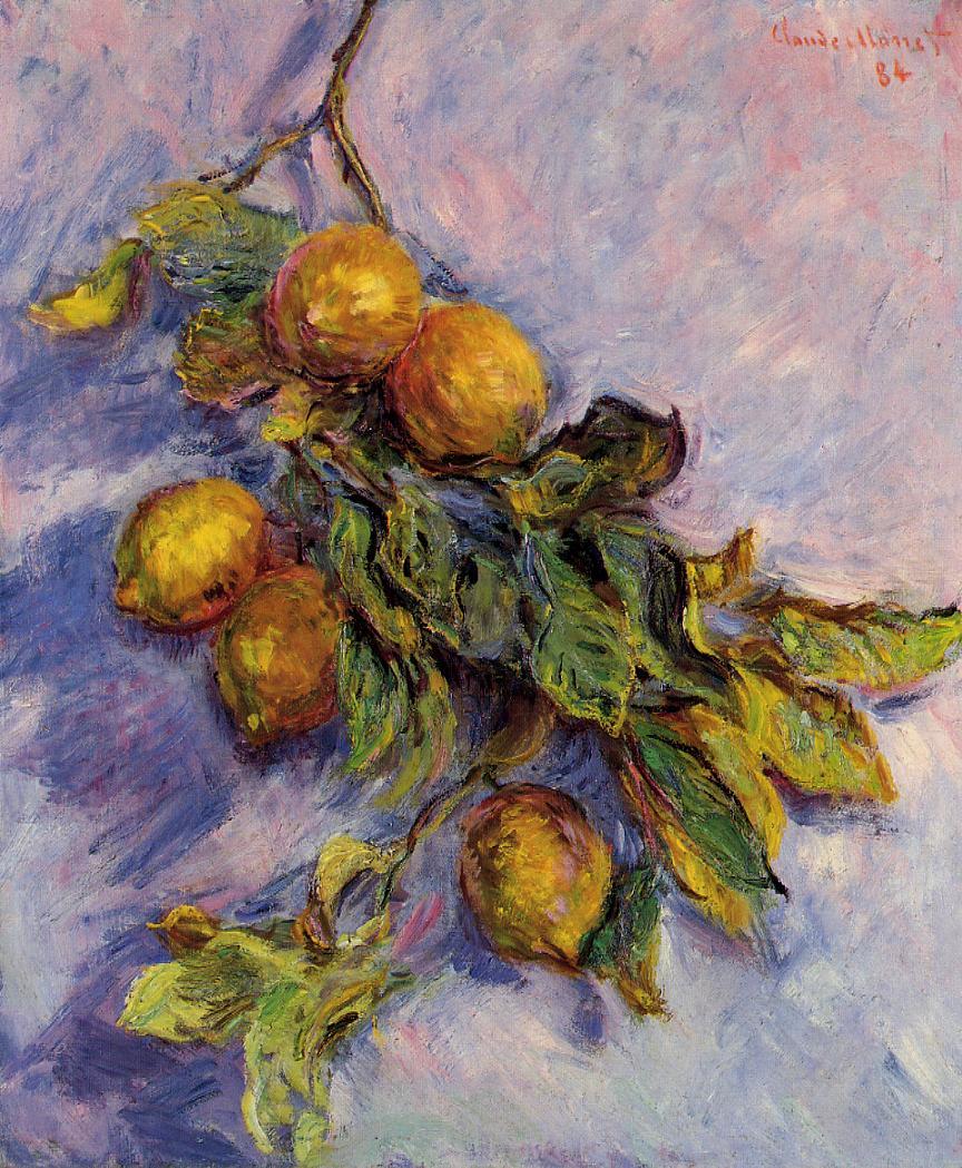 artistmonet's tweet photo. Branch of Lemons, 1884 #impressionism #claudemonet https://t.co/o0q6K66Lb3 https://t.co/h6QmU27VCh