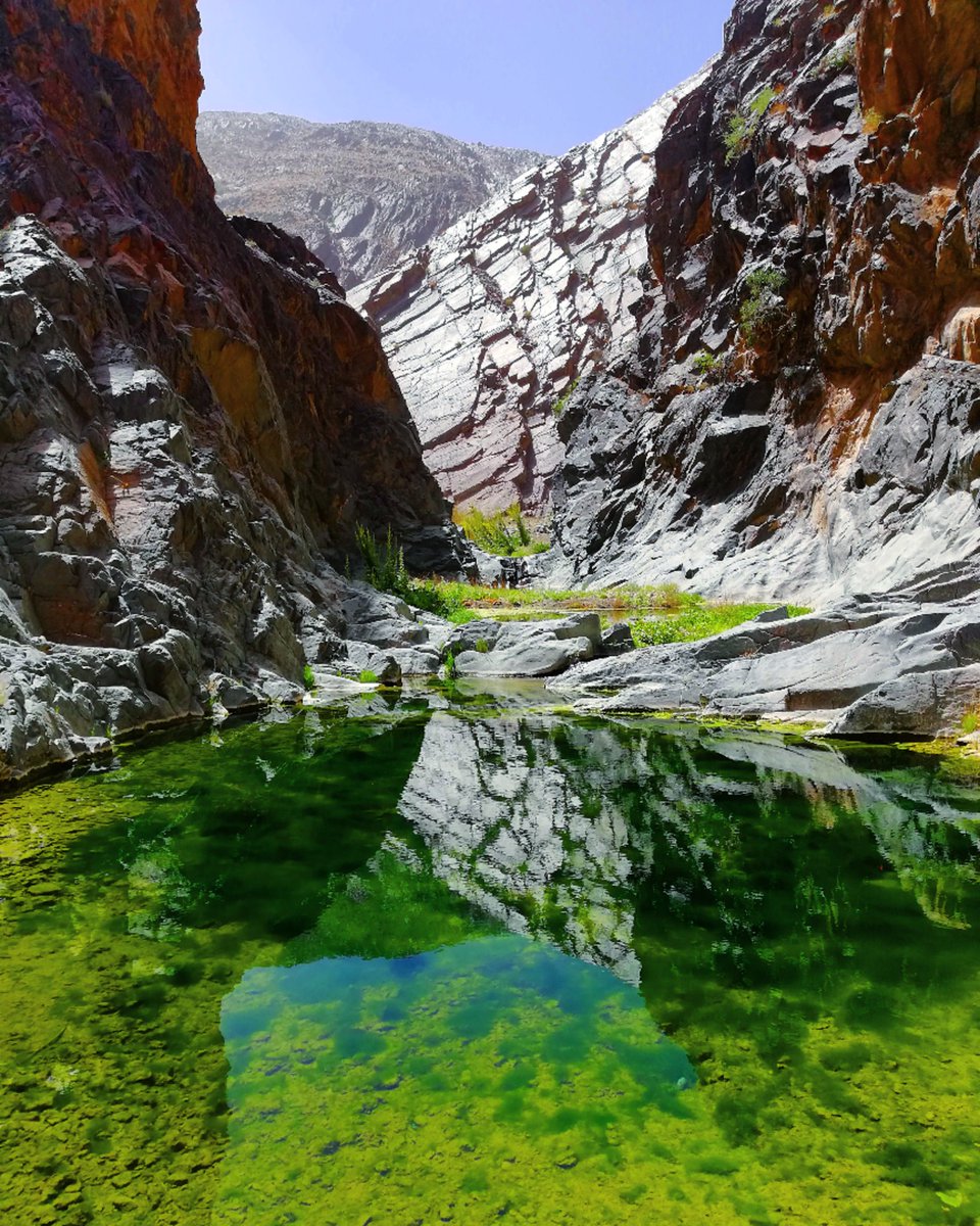 محمد بن عبدالله الشاوي tweet media