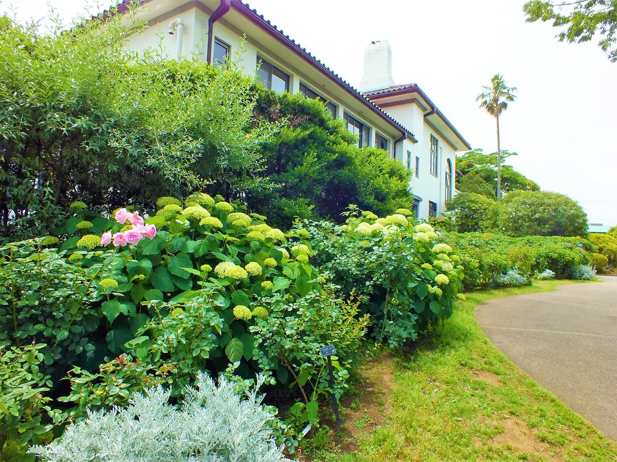 おはようございます！
素敵な火曜日をお過ごしください(˶･ᴗ･˶)💕
今日もよろしくお願いします。
【散策～横浜】