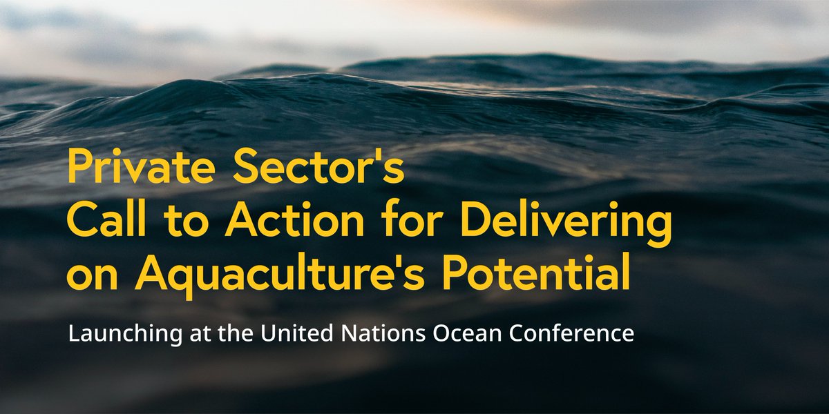 Junto a <a href="/ourfuturefish/">FUTUREFISH</a> y CEOs globales en #acuicultura, lanzamos un Llamado a la acción para el progreso de toda la industria. Trabajaremos en:
👥Establecer centros de aprendizaje
🔬Promover transferencia tecnológica
🏦Ampliar el financiamiento sostenible
globalsalmoninitiative.org/es/nuestro-tra…