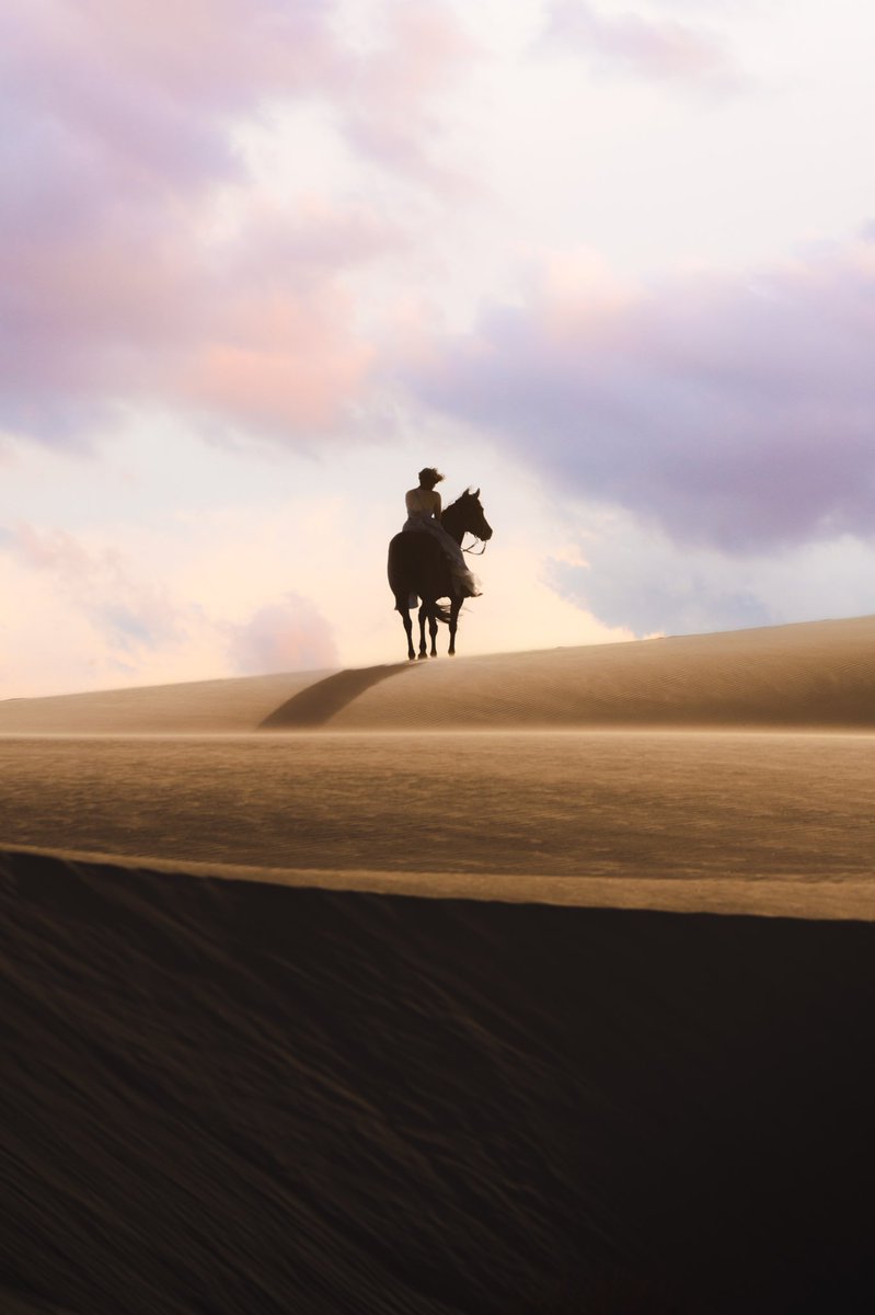 the shadows fall behind you