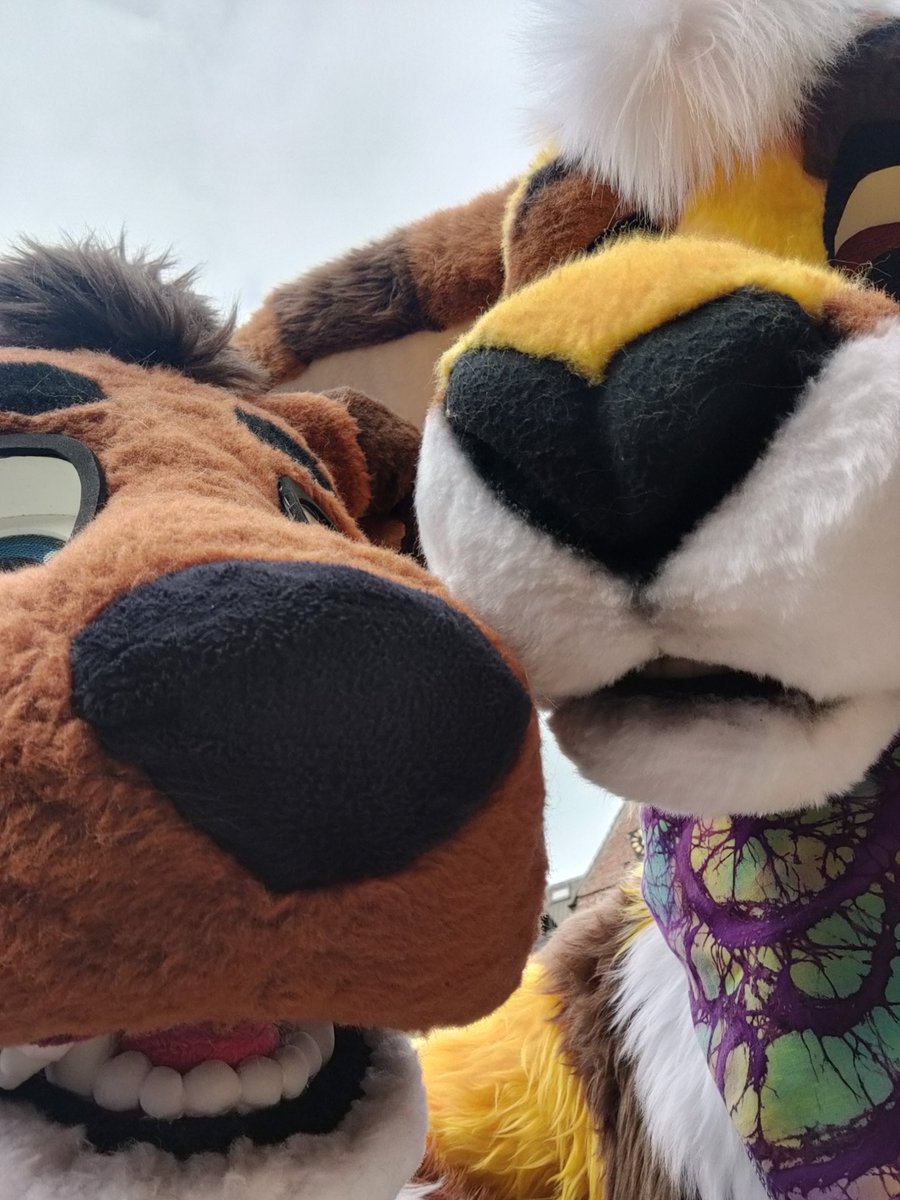 HELLO, CAN YOU HEAR US?
🦘💛:<a href="/TellKangaroo/">Tell</a> 
#furry #fursuit