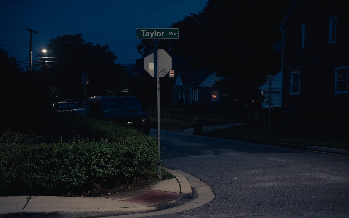 titaniumvisuals's tweet image. took a walk yesterday