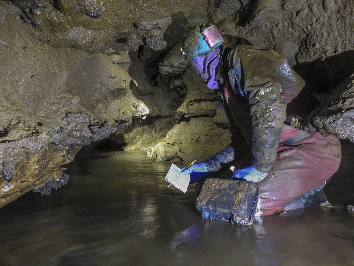 YorkCavingClub's tweet photo. Finally back through the sumps and into The Covid Extensions in Jenga Pot. Another 150m of cave surveyed in The Second Wave including the first part of the new streamway. Not a bad afternoon's work for the North York Moors! https://t.co/ZUxxZE5m8n