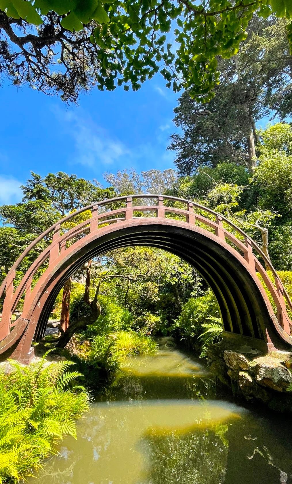 moon bridge Urban Hiker SF on X: 