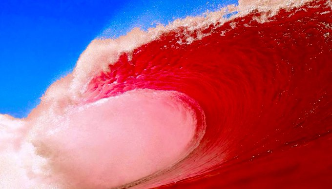 zing56's tweet photo. The #RedTidalWave is about to slam the #Demrats right upside the head. It couldn't happen to a nicer group of people. Headed out for more #Popcorn. https://t.co/UVxGFOyz6n